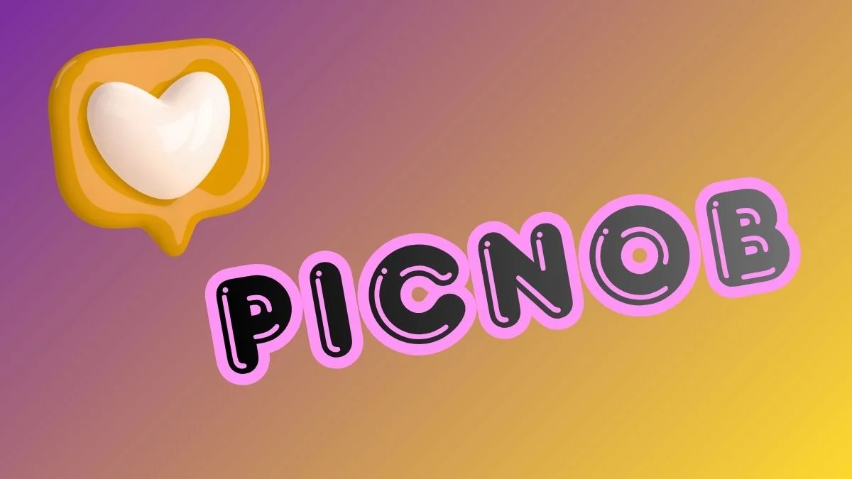 Picnob: The Anonymous Instagram Story Viewer — Complete 2026 Guide